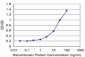CYP7B1 Antibody (monoclonal) (M06)